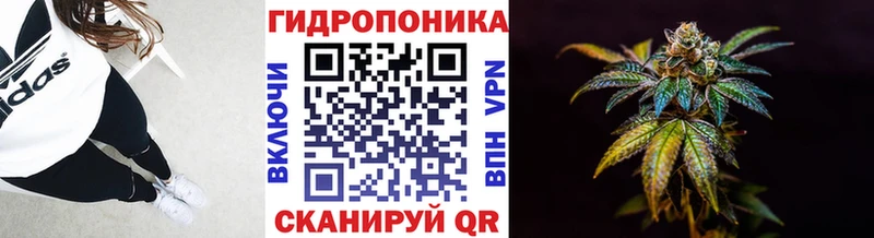 Шишки марихуана AK-47  купить  сайты  Горняк 